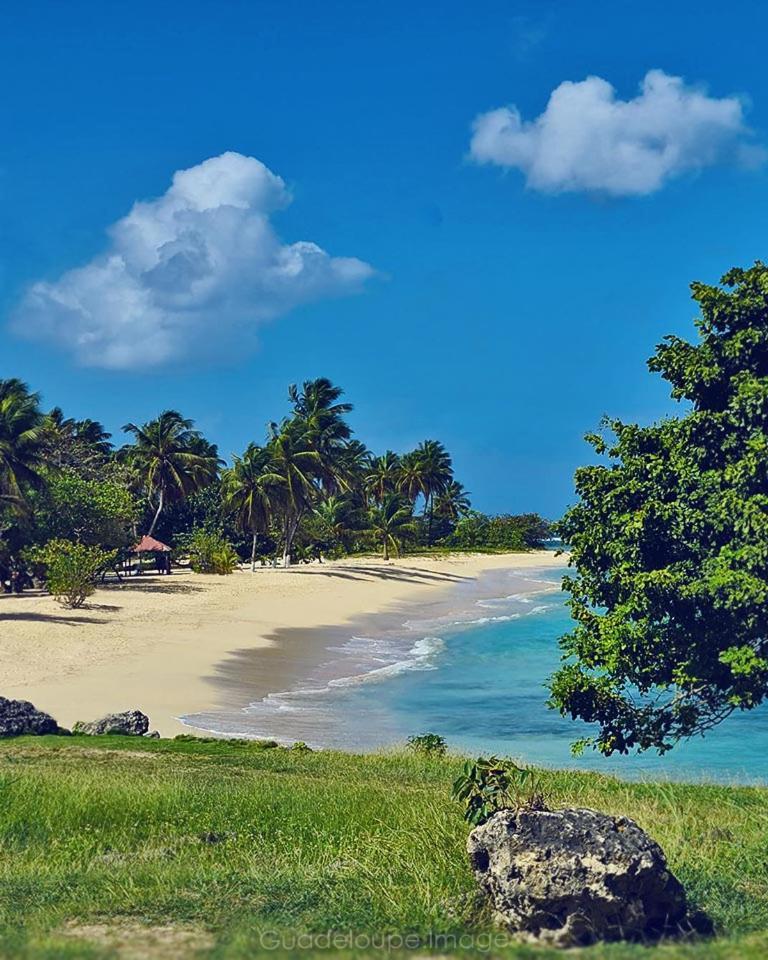 Вилла Cocon Des Iles Anse-Bertrand Экстерьер фото